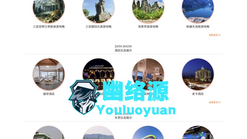 小标题：一、了解民宿行业现状